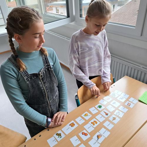 Tage der offenen Tür für die 4. Klassen der VS Mötz, VS Silz