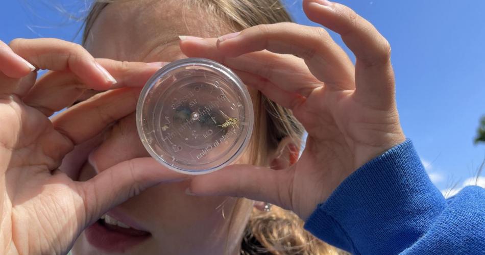 Emma untersucht Insekt mit Becherlupe